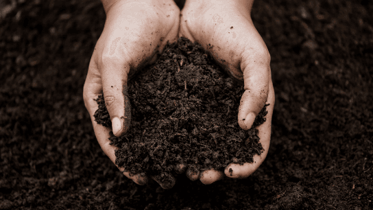 Investigating Effectiveness of Different Soil Stabilization