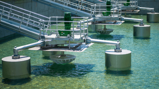 Advanced Concepts in Wastewater Assessment and Treatment