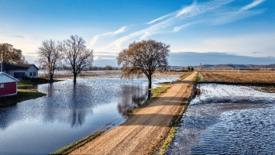 Stormwater Best Management Practices