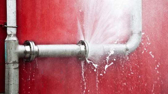 Controlling Water Losses in Distribution